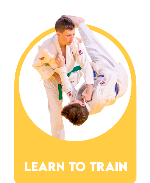 Learn to Train
