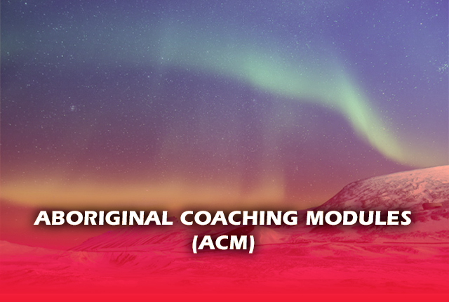 Aurora borealis. Written front of the image: Aboriginal coaching modules (ACM)